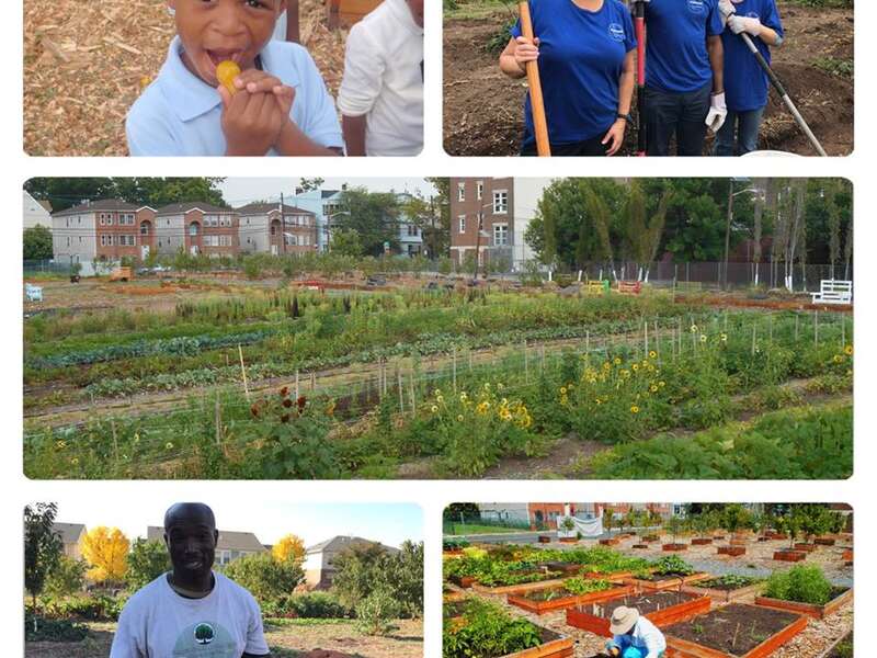 Greater Newark Conservancy