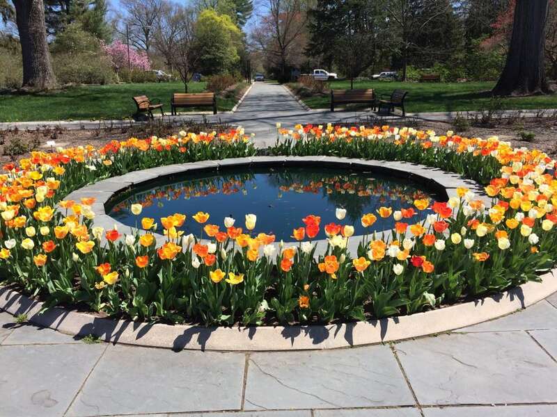 Colonial Park Gardens