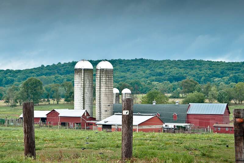 Readington River Buffalo Farm