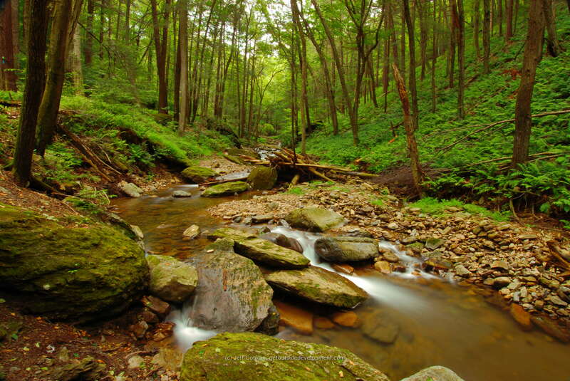 Dunnfield Creek