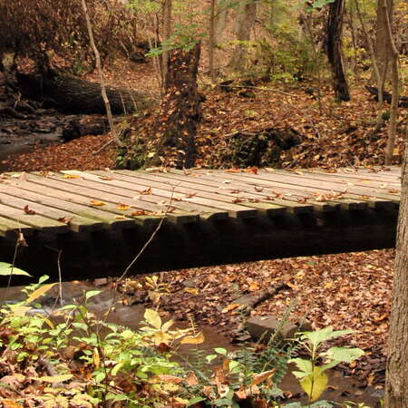 Washington Crossing State Park (NJ)