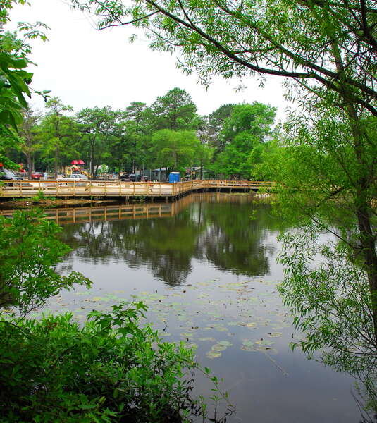 Birch Grove Park