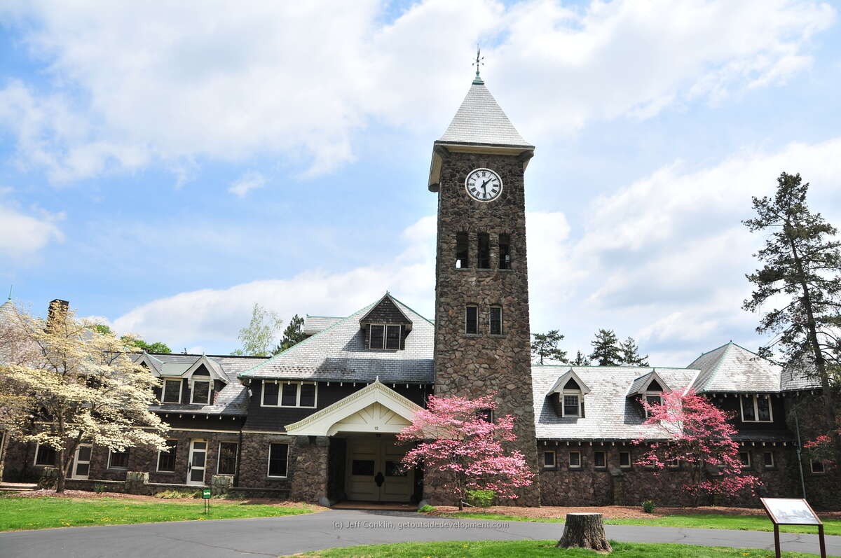 Duke Blooming in Early Spring