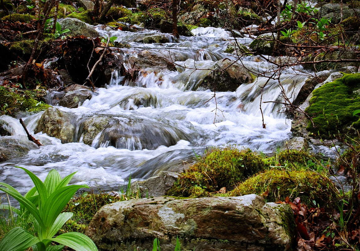 Who doesn't love a beautiful rainy day hike in Stokes?