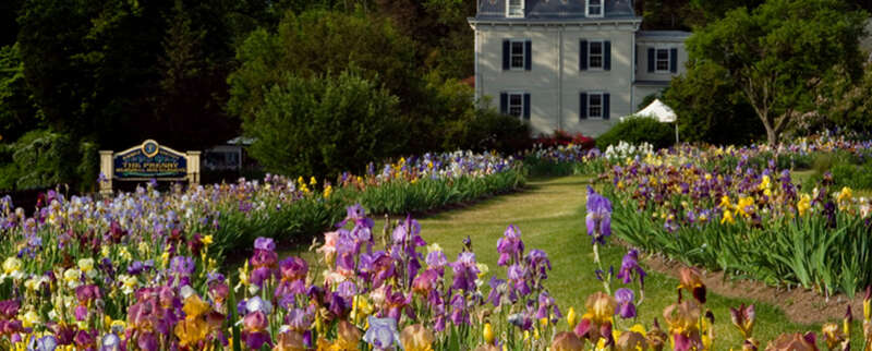 Presby Memorial Iris Gardens