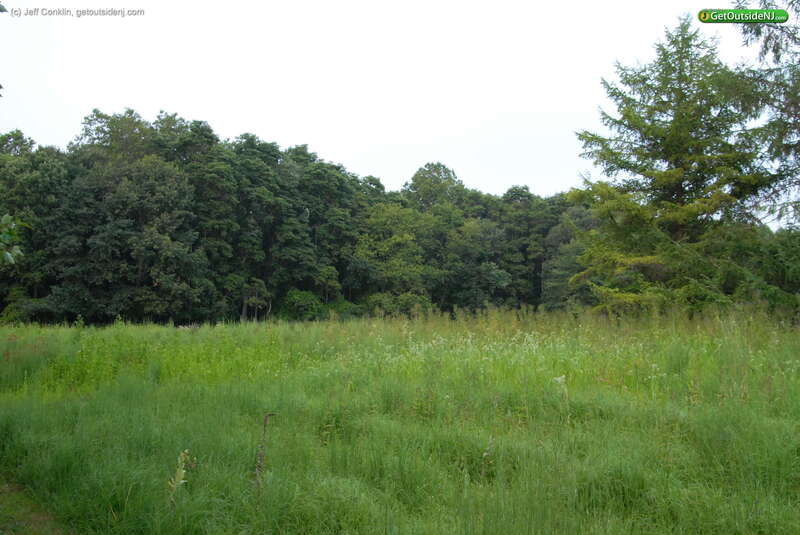 Great Swamp Outdoor Education Center