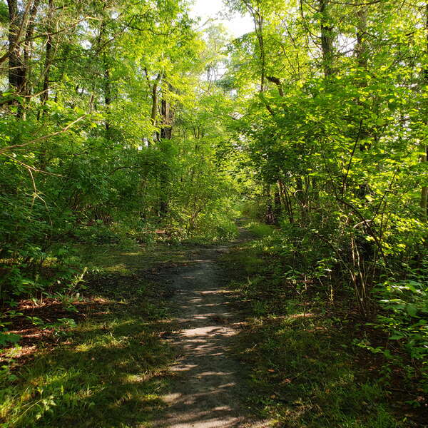 Slade Dale Sanctuary