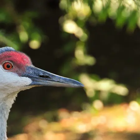 Cape May County Park and Zoo