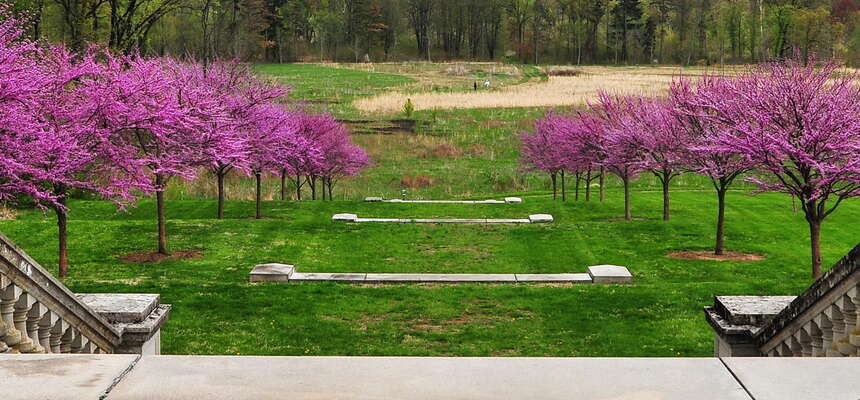 Photos of the week! May 12