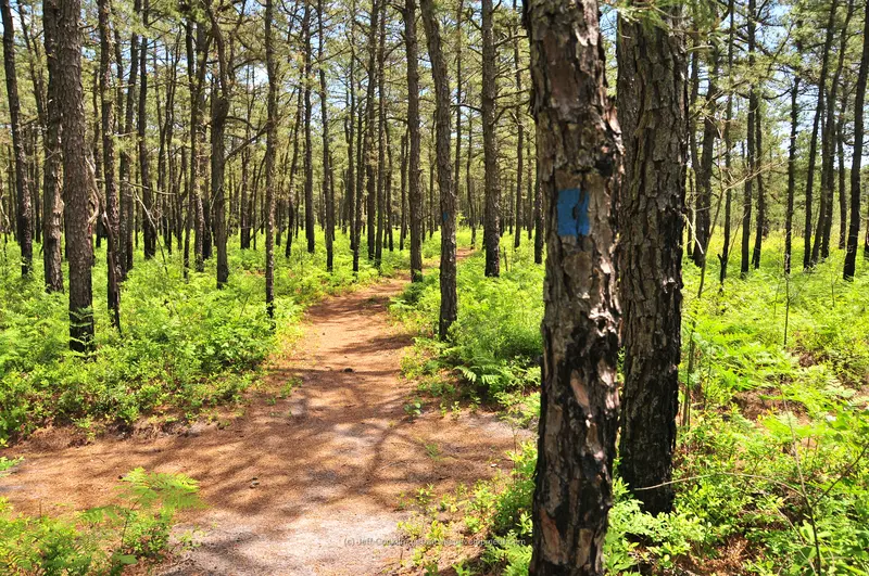 Jakes Branch County Park