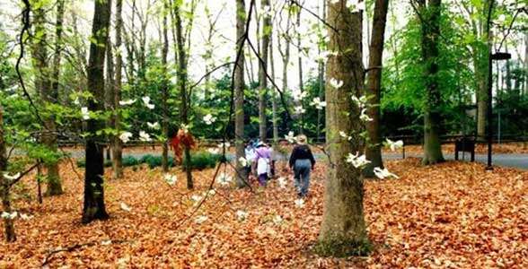 Barton Arboretum and Nature Preserve