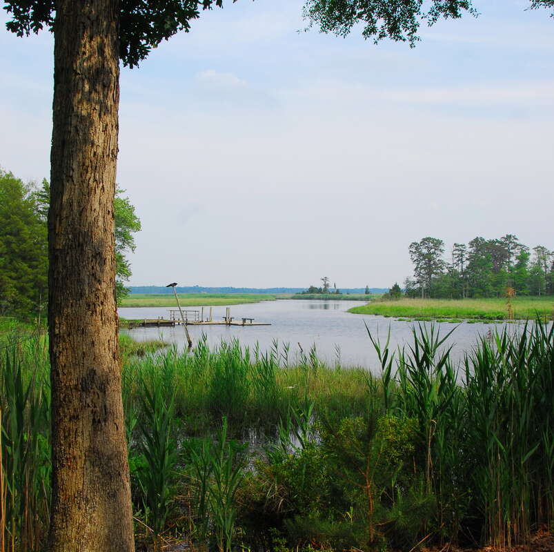 Beautiful view in Estelle Manor Park
