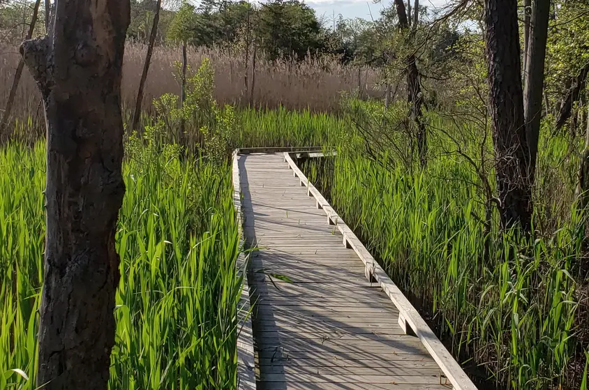 Places to walk near Brick, NJ