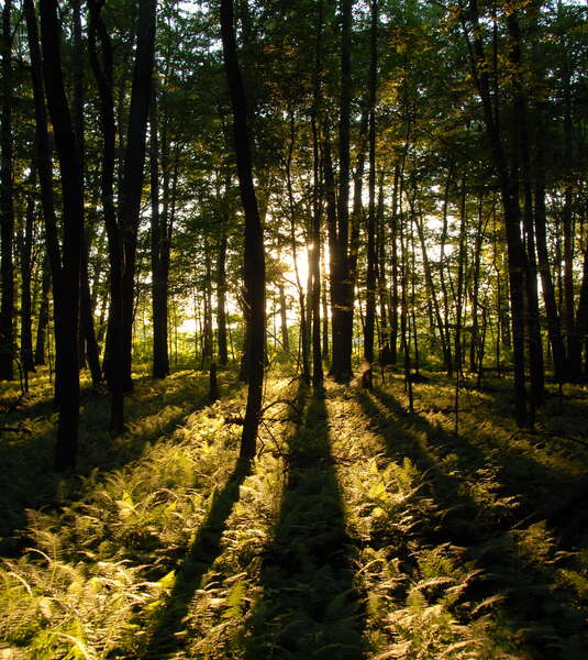 Mercer County Park
