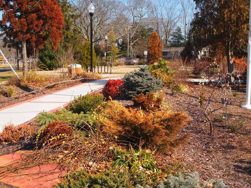 Linwood Arboretum