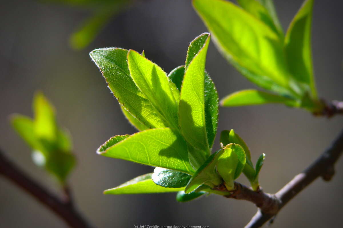 Spring brings new life <3