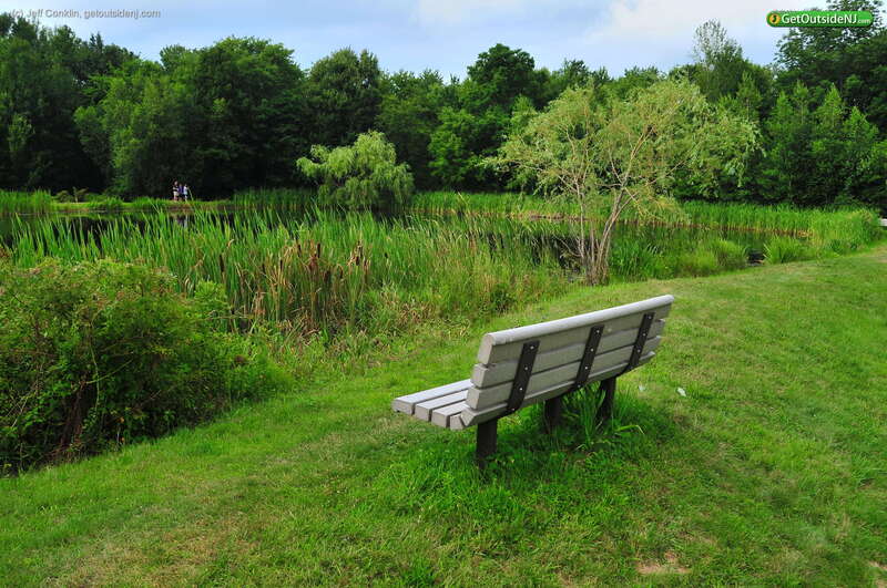 Teetertown Ravine Nature Preserve